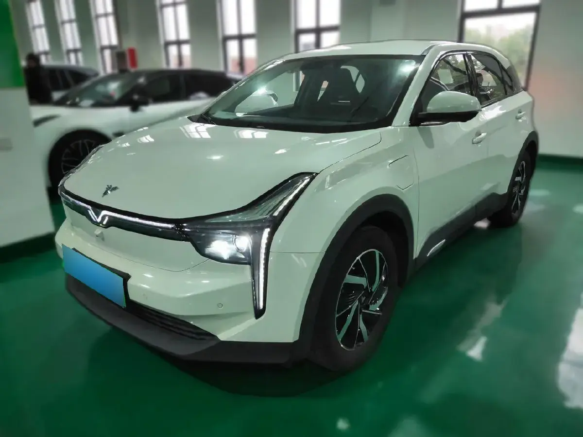 2021 Neta U BEV 66.23KWH