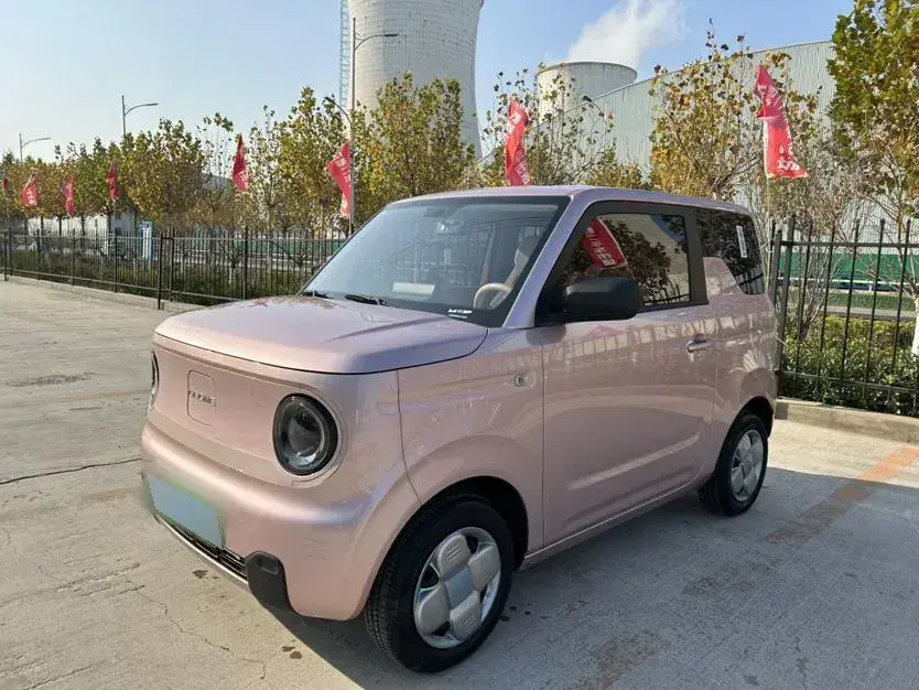 2023 Geely Panda BEV 17.03KWH