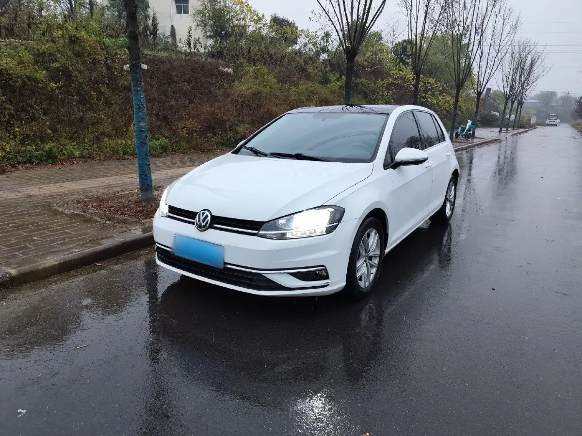 2019 Volkswagen Golf 1.6L 110HP L4 6AT
