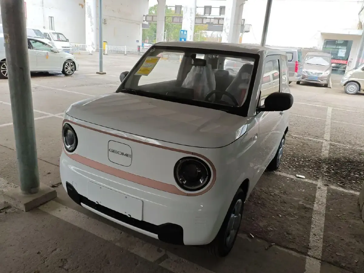 2024 Geely Panda BEV 17.03KWH