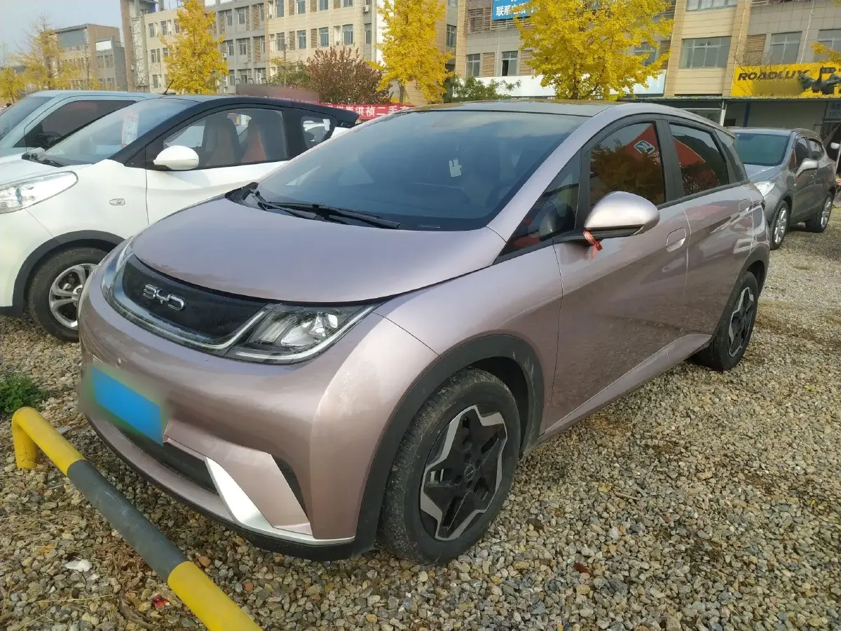 2021 BYD Dolphin BEV 44.9KWH
