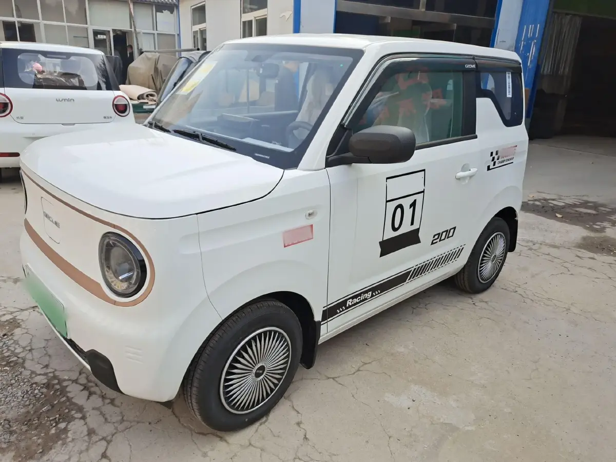2024 Geely Panda BEV 17.03KWH