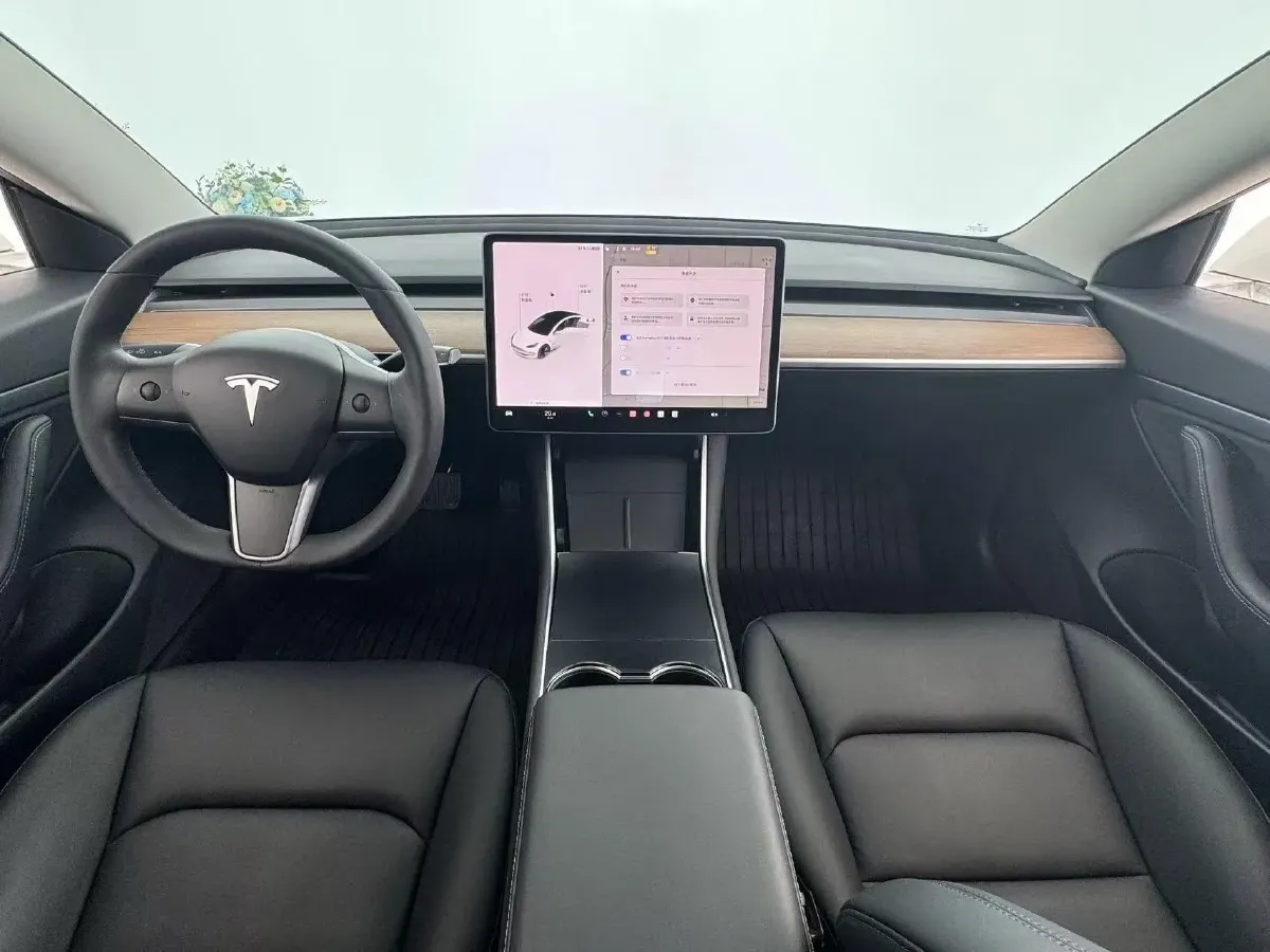 2020 Tesla Model 3 BEV 52KWH,autocango,china used car exporter,china ev exporter,chinese used car exporter,chinese used ev exporter