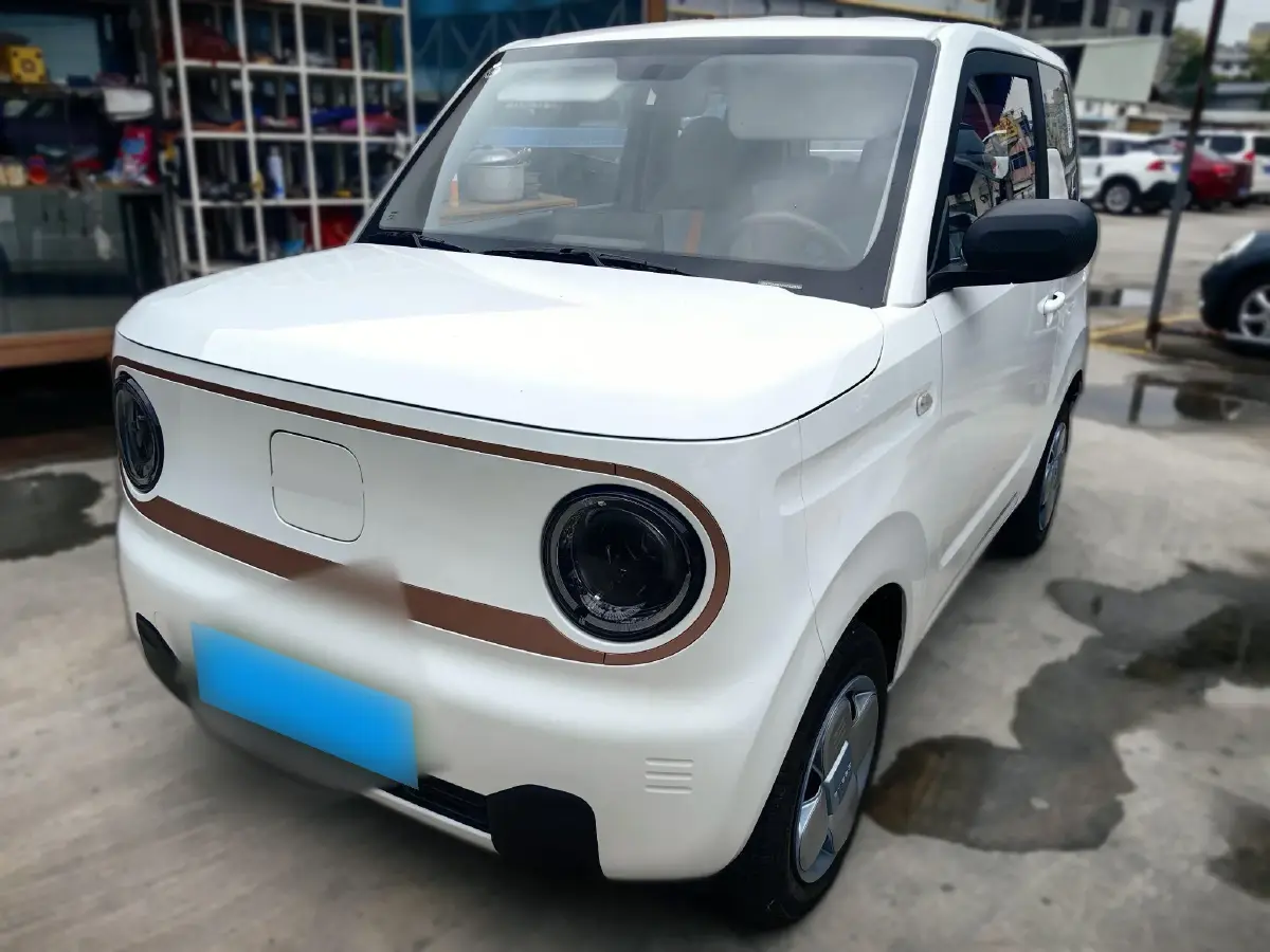 2024 Geely Panda BEV 17.03KWH