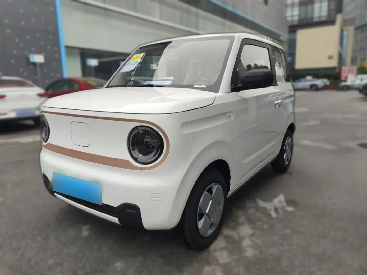 2024 Geely Panda BEV 17.03KWH