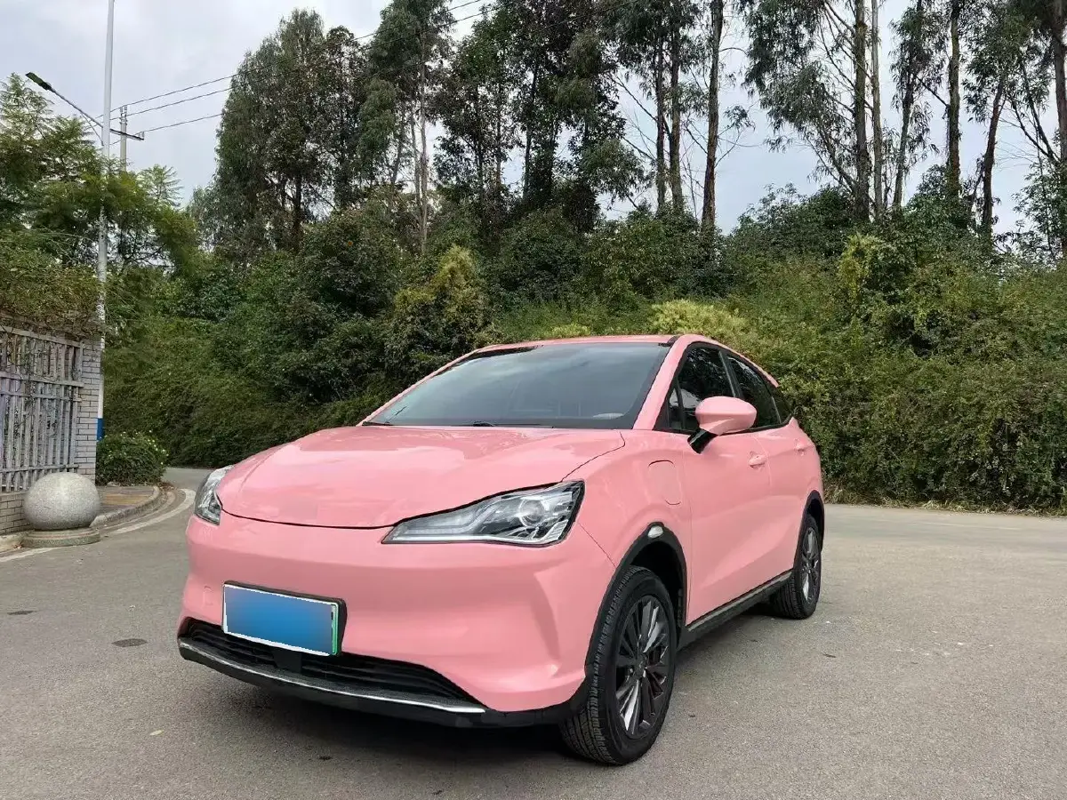 2022 Neta V BEV 38.54KWH