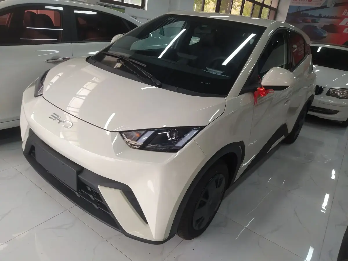 2025 BYD Seagull BEV 30.08KWH