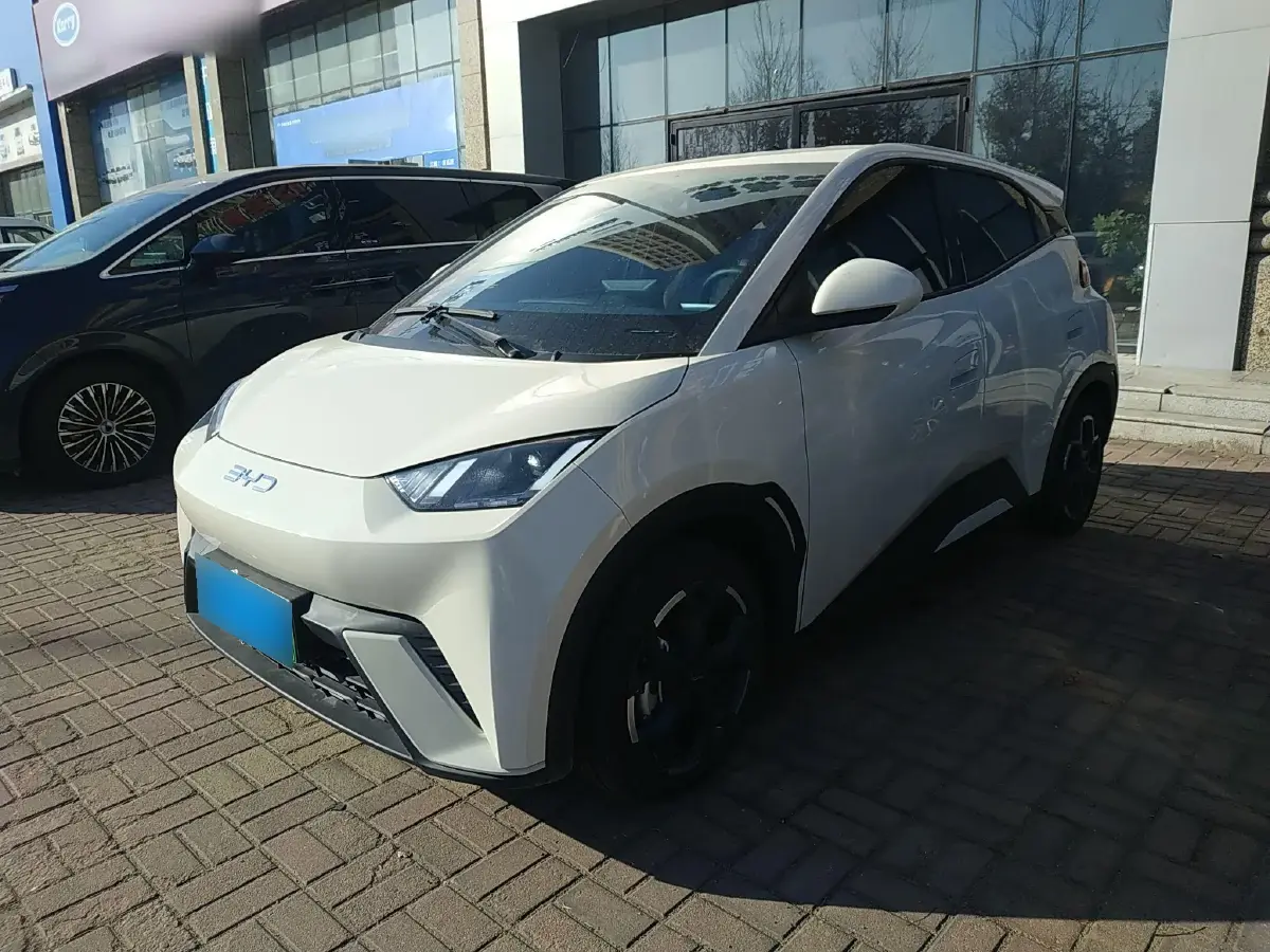 2025 BYD Seagull BEV 30.08KWH