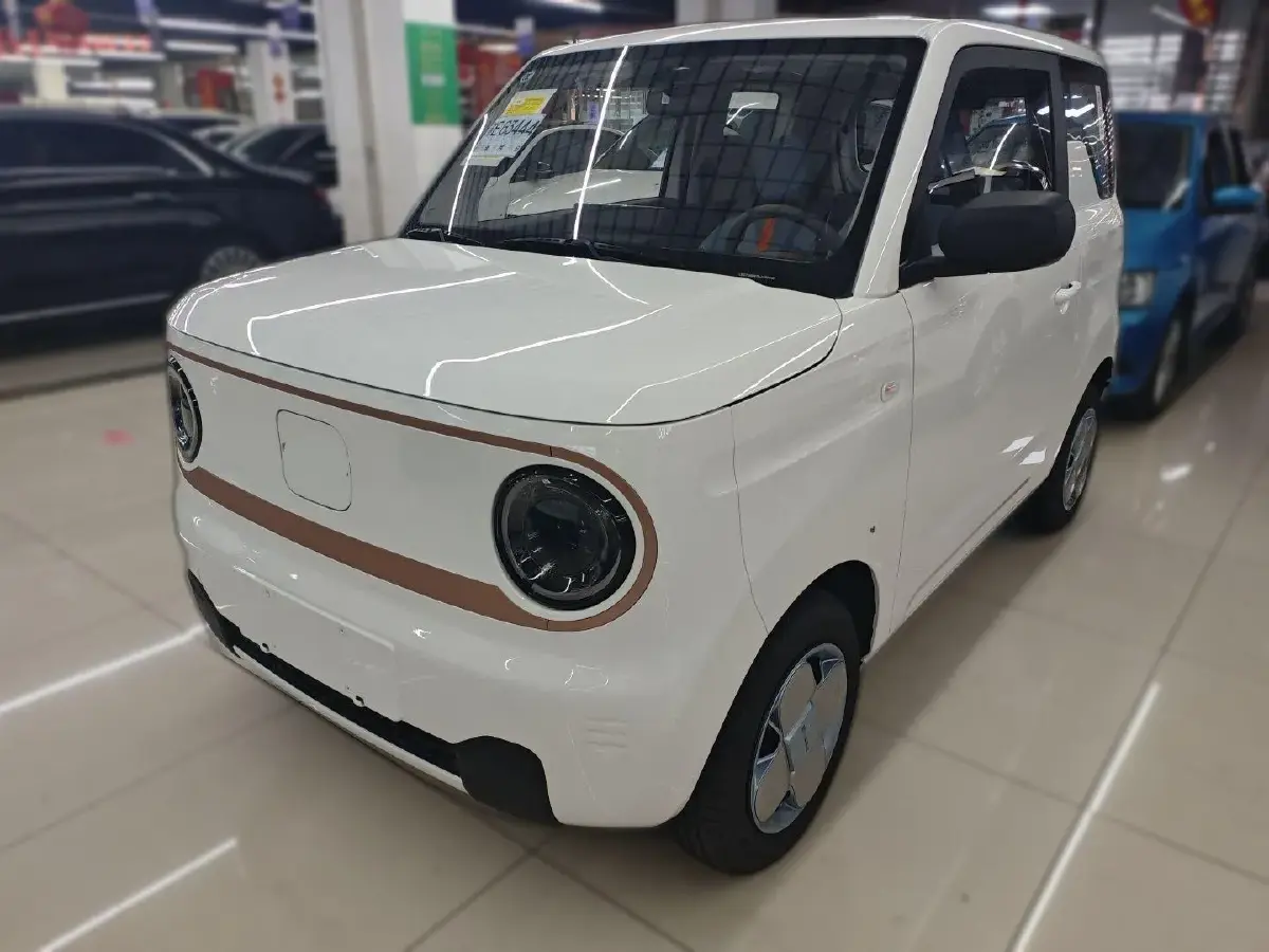 2024 Geely Panda BEV 17.03KWH