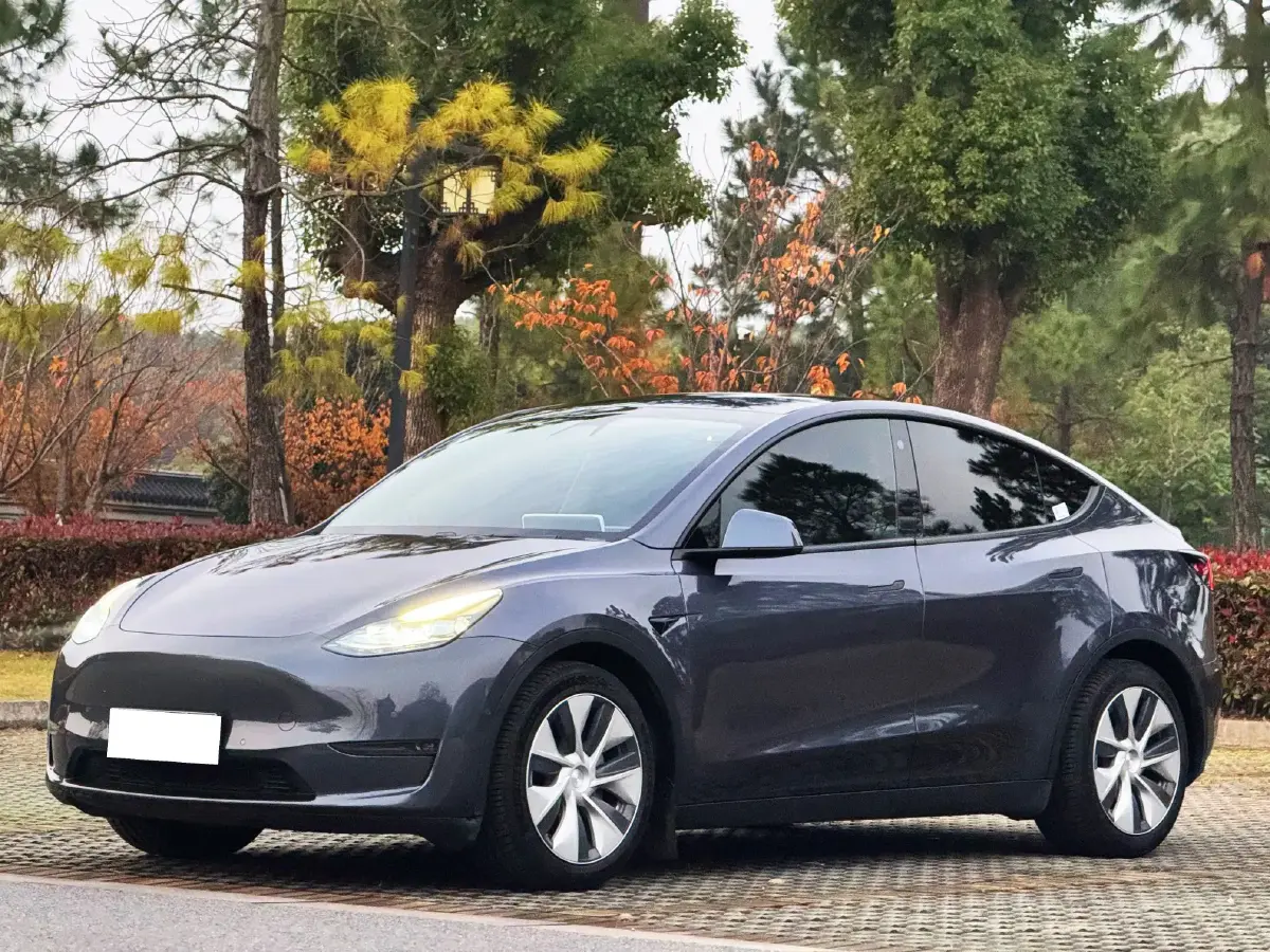 2021 Tesla Model Y BEV 76.8KWH