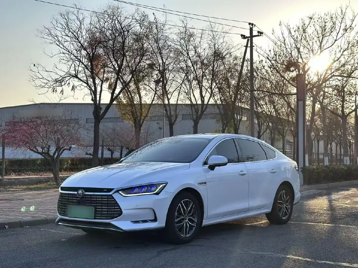 2019 BYD Qin Pro BEV 56.4KWH