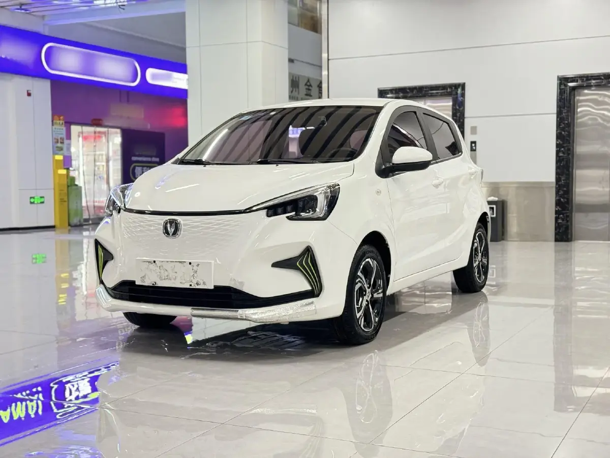 2021 ChangAn BenBen E-Star BEV 32.2KWH