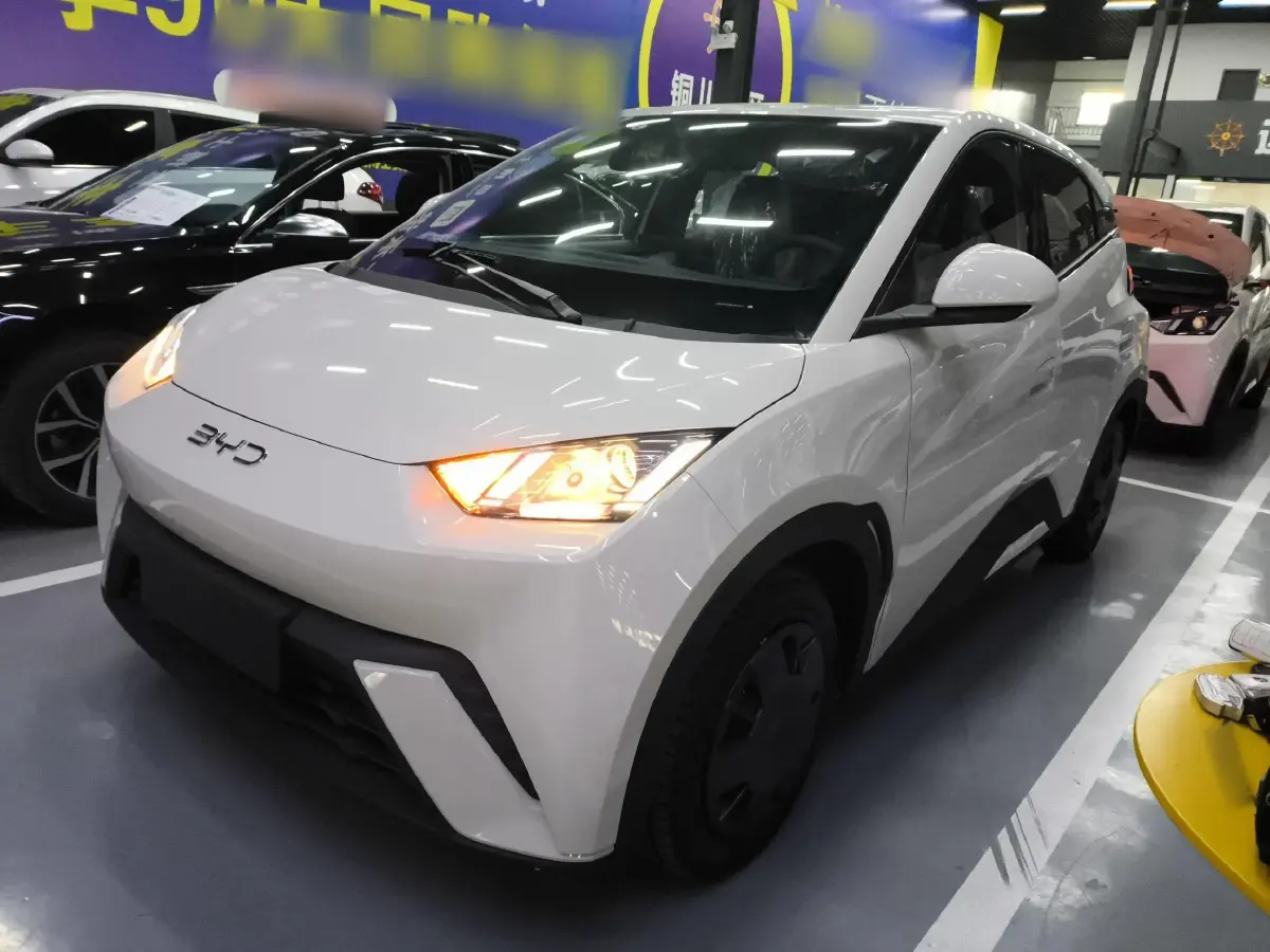 2025 BYD Seagull BEV 30.08KWH