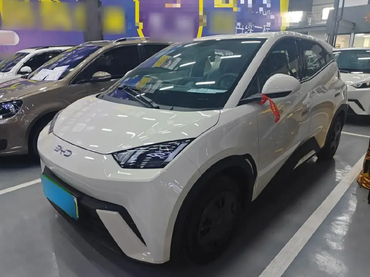 2025 BYD Seagull BEV 30.08KWH