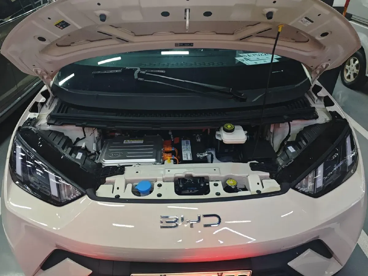 2025 BYD Seagull BEV 30.08KWH,autocango,china used car exporter,china ev exporter,chinese used car exporter,chinese used ev exporter