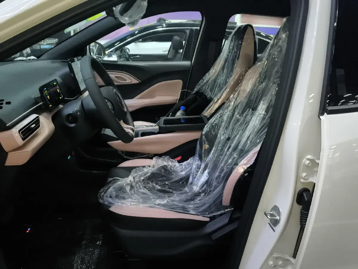 2025 BYD Seagull BEV 30.08KWH,autocango,china used car exporter,china ev exporter,chinese used car exporter,chinese used ev exporter