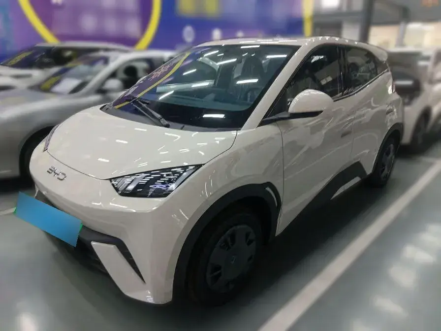 2025 BYD Seagull BEV 30.08KWH