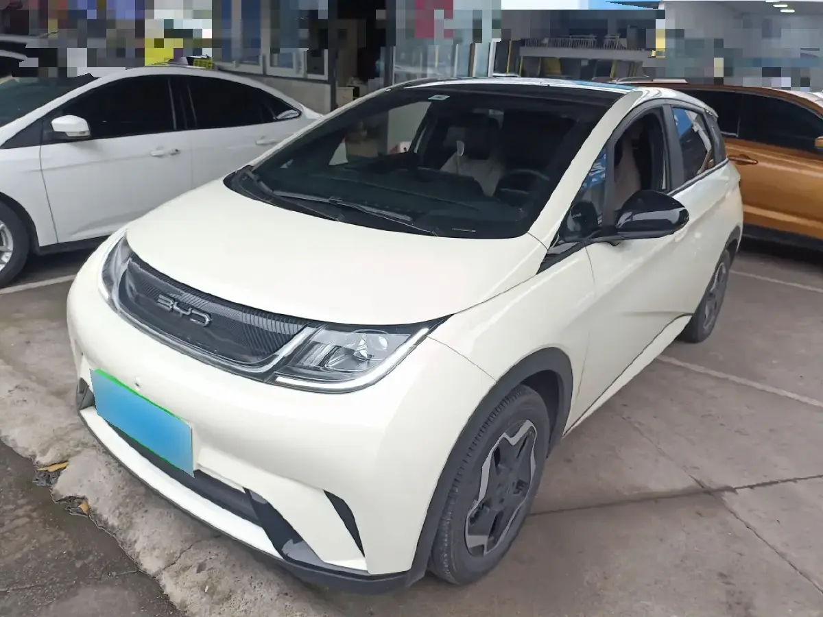 2021 BYD Dolphin BEV 44.9KWH