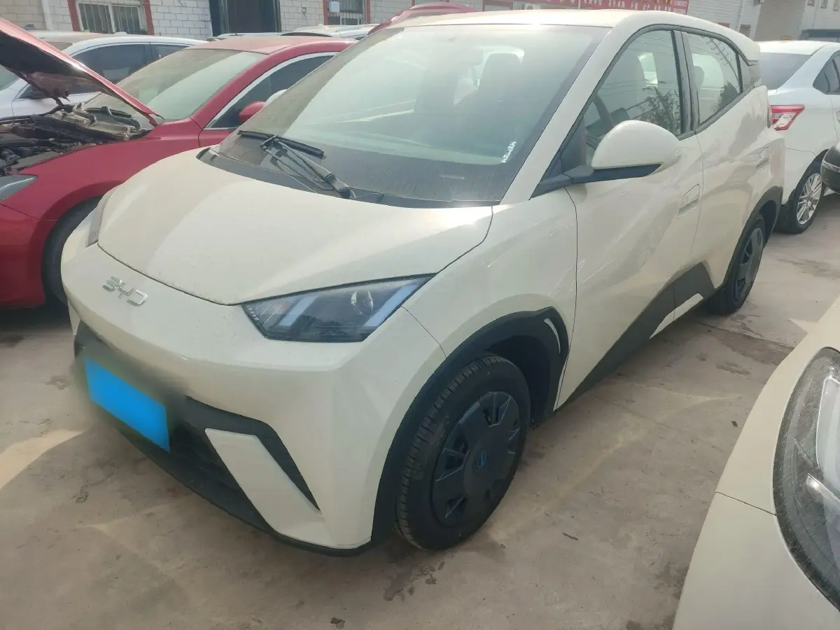 2025 BYD Seagull BEV 30.08KWH