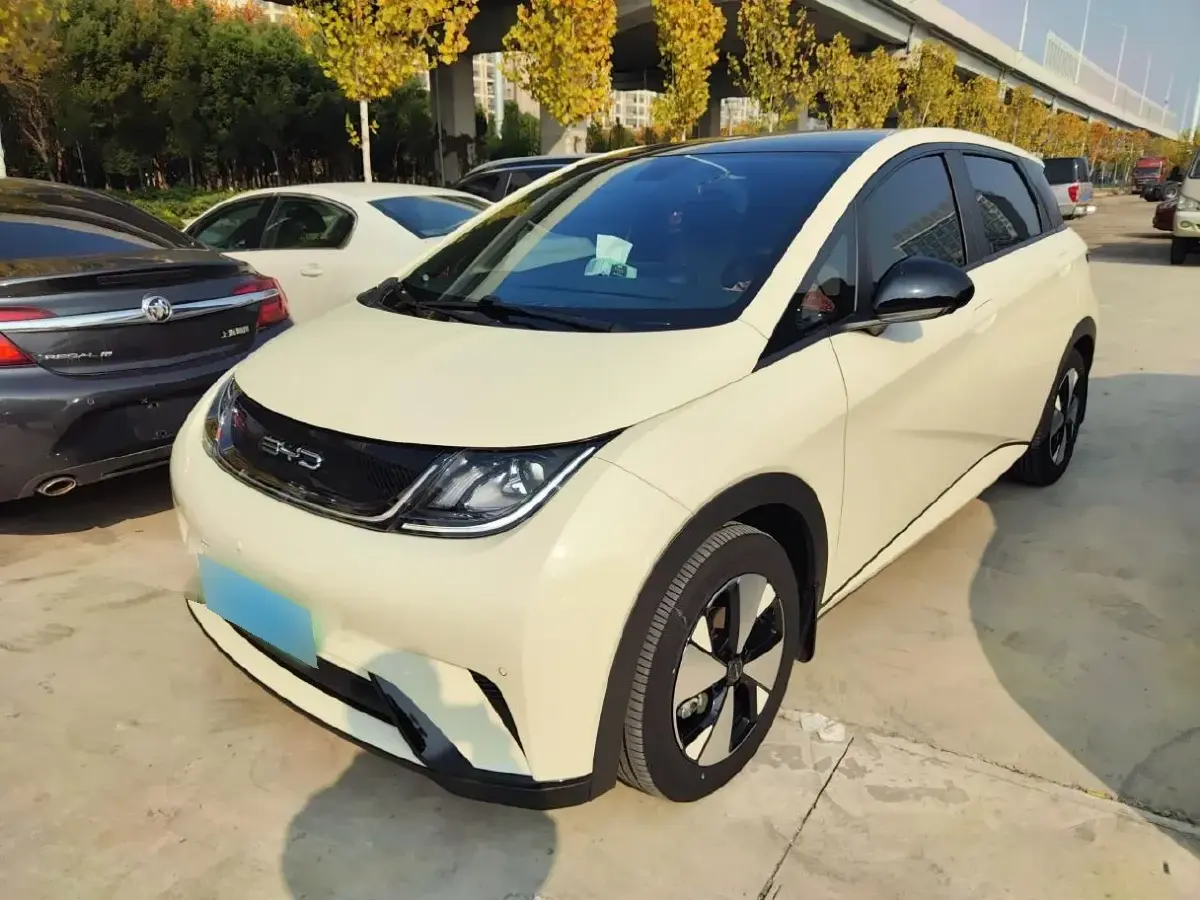 2023 BYD Dolphin BEV 44.928KWH