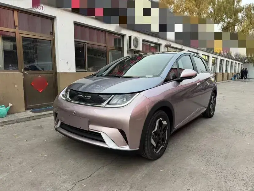 2021 BYD Dolphin BEV 44.9KWH