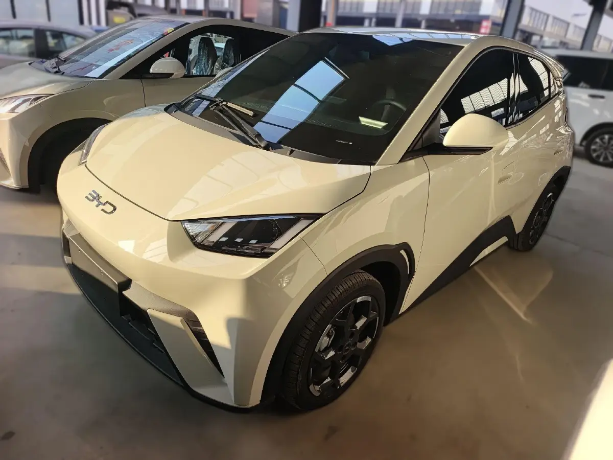 2025 BYD Seagull BEV 30.08KWH
