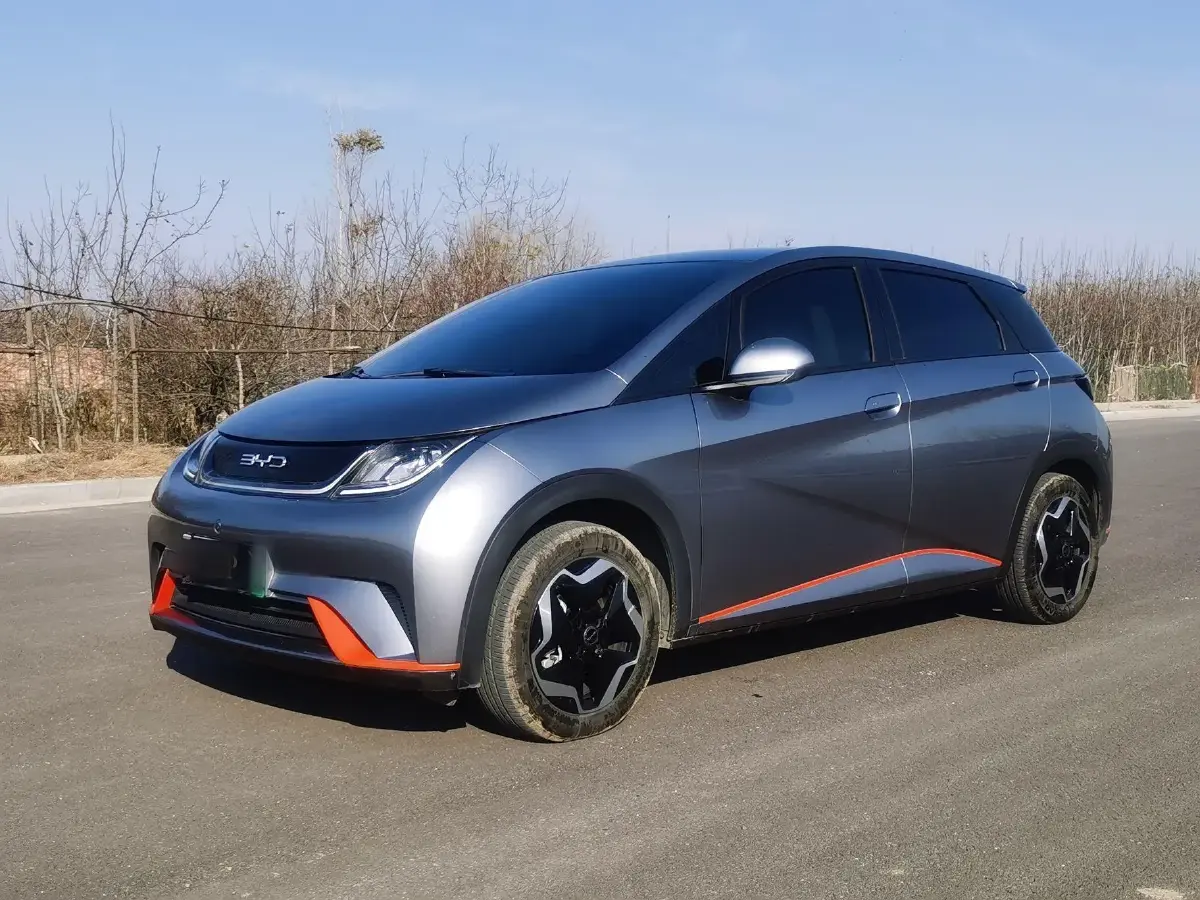 2021 BYD Dolphin BEV 44.9KWH