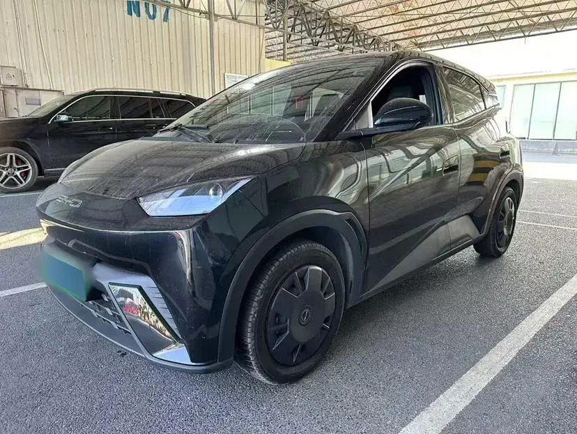2023 BYD Seagull BEV 30.08KWH