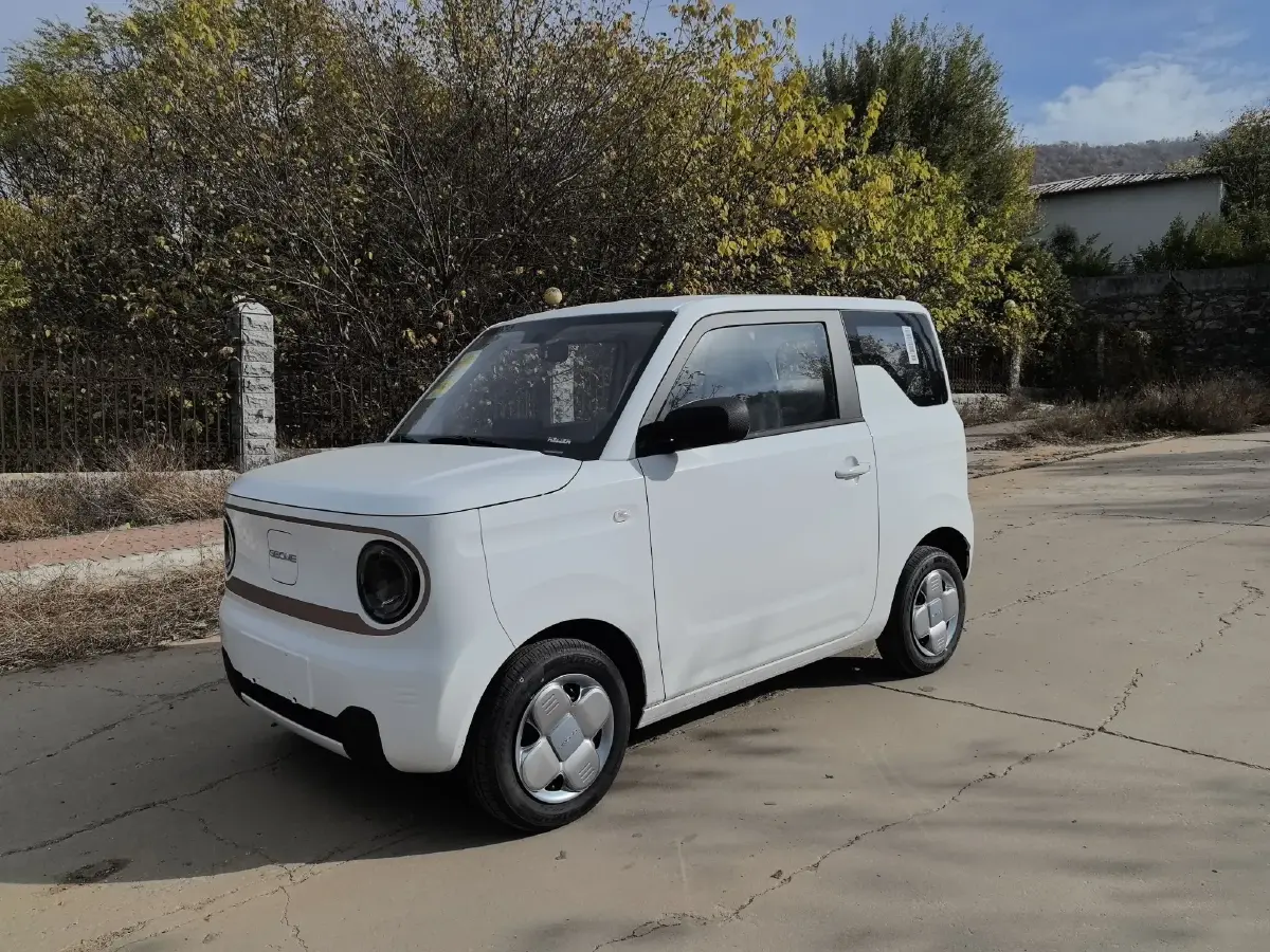 2024 Geely Panda BEV 17.03KWH