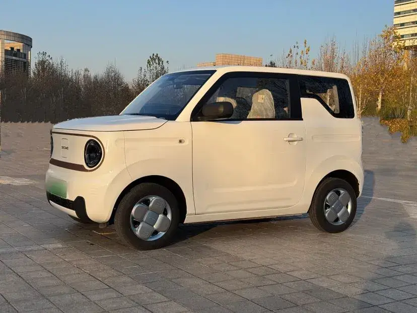 2024 Geely Panda BEV 17.03KWH