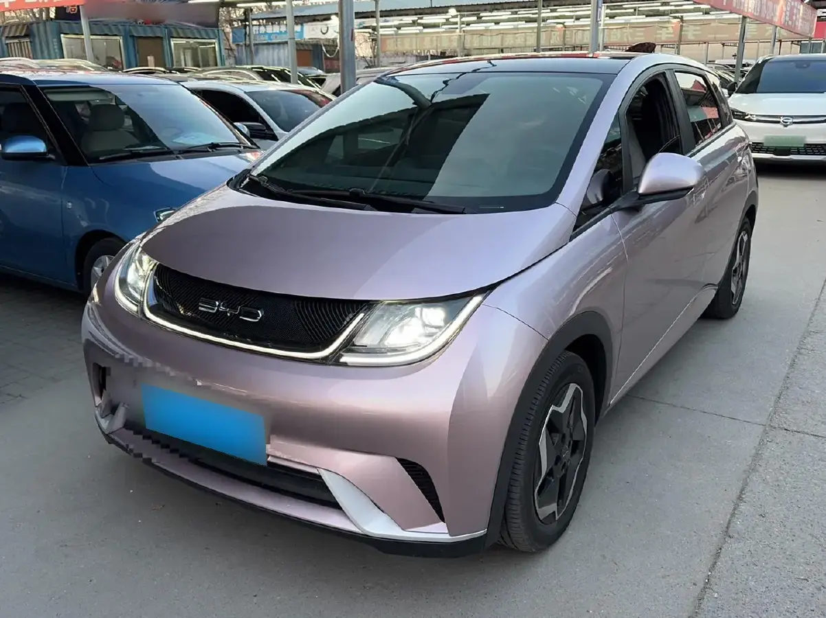 2021 BYD Dolphin BEV 44.9KWH