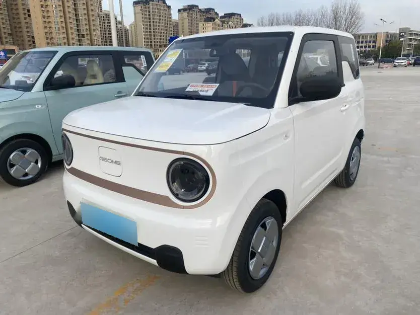 2024 Geely Panda BEV 17.03KWH