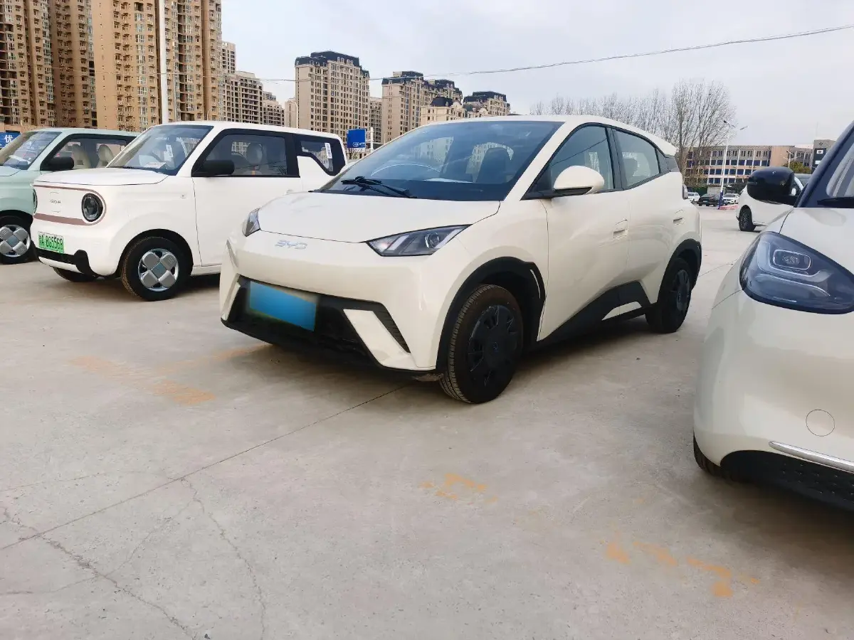 2025 BYD Seagull BEV 30.08KWH