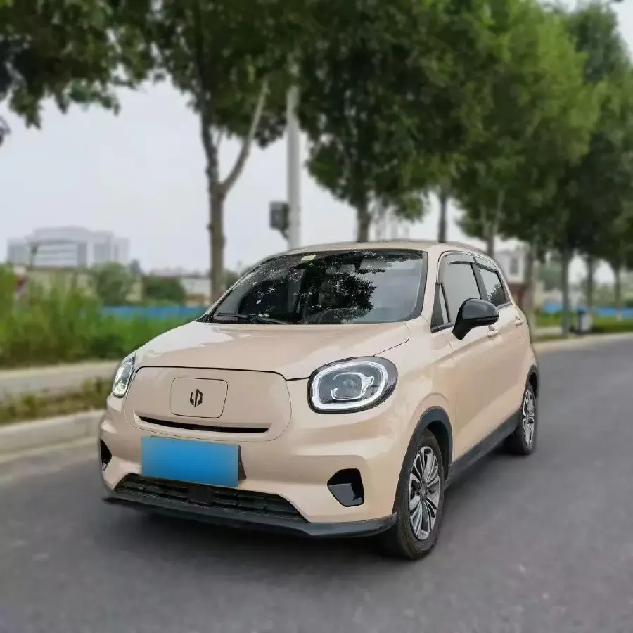 2021 Leapmotor T03 BEV 41KWH