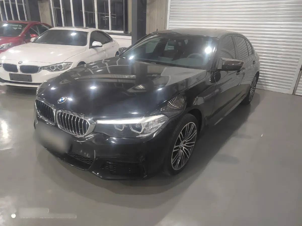 2019 BMW 5 Series 2.0T 252HP L4 8AT
