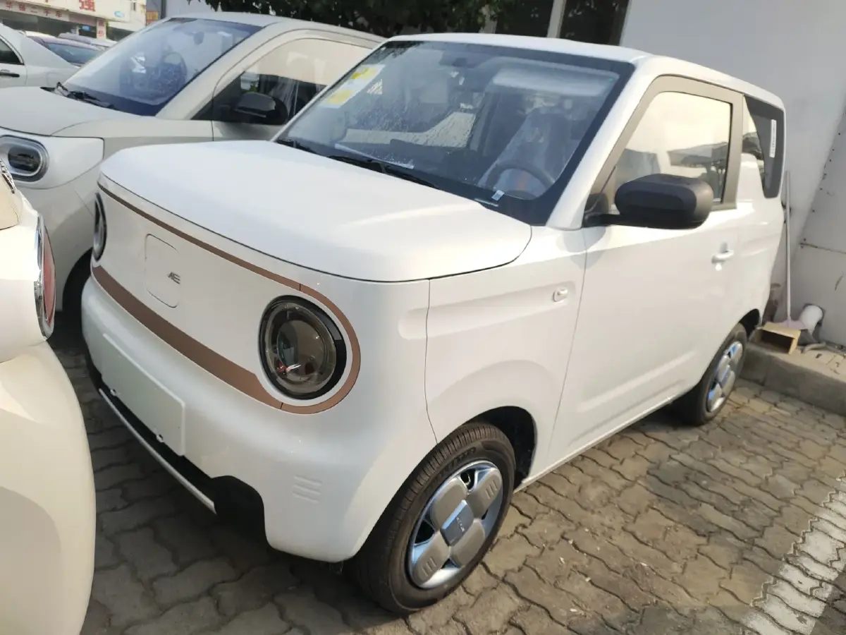 2024 Geely Panda BEV 17.03KWH