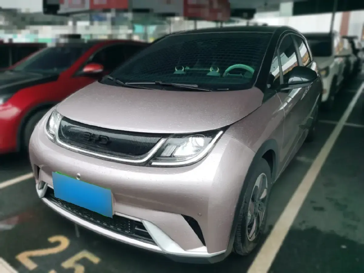 2024 BYD Dolphin BEV 44.928KWH
