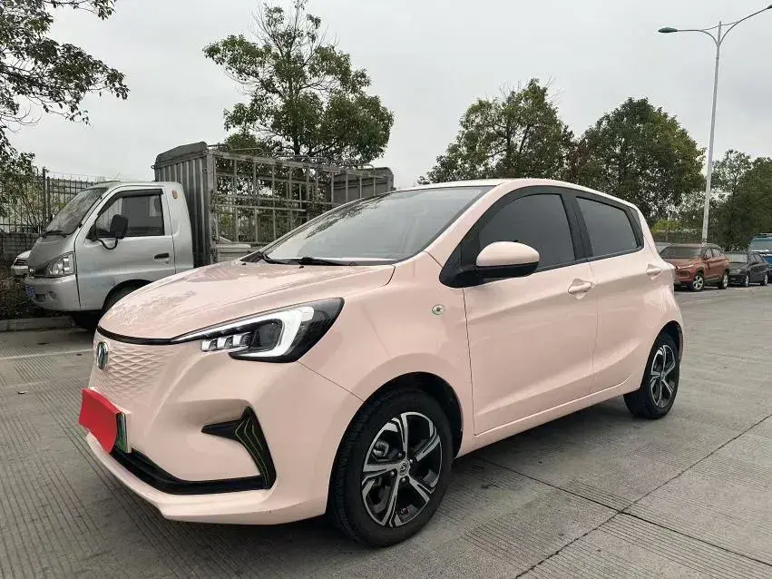 2023 ChangAn BenBen E-Star BEV 31.18KWH