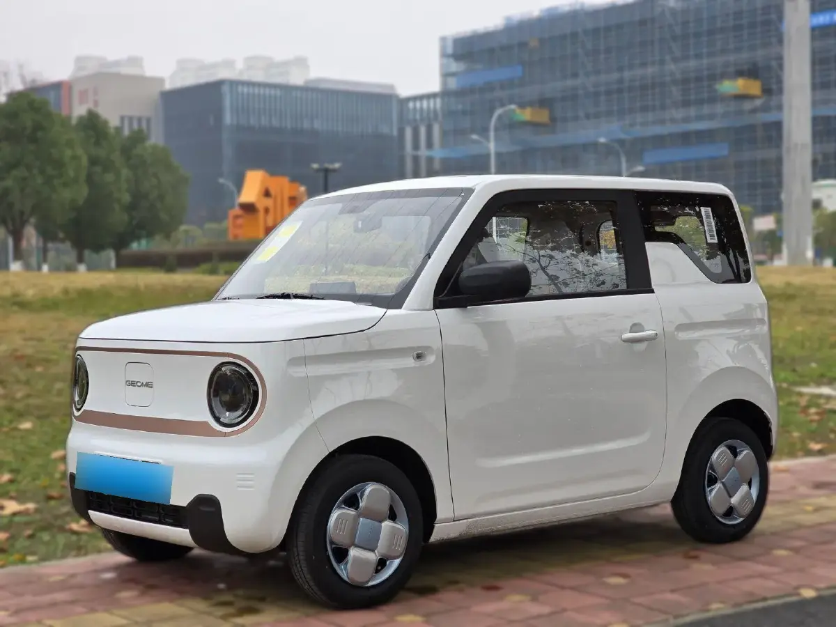 2024 Geely Panda BEV 17.03KWH