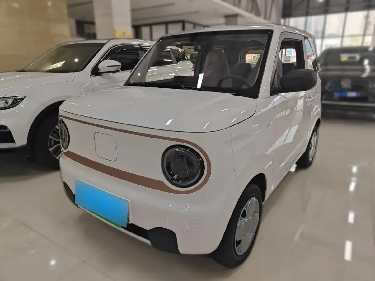 2024 Geely Panda BEV 17.03KWH