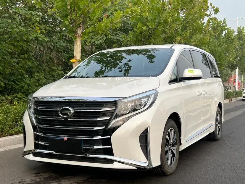 2024 GAC Trumpchi M8 2.0T 252HP L4 8AT