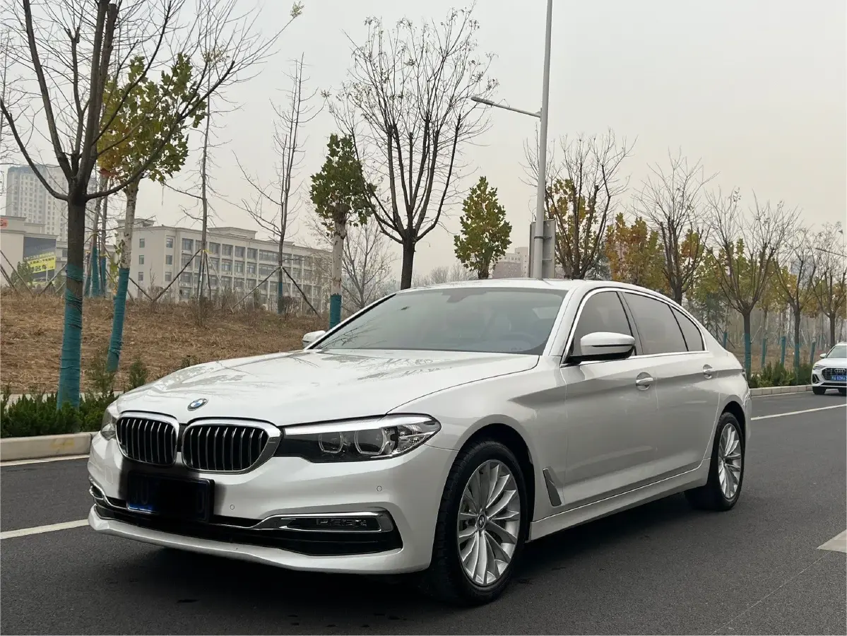 2019 BMW 5 Series 2.0T 252HP L4 8AT