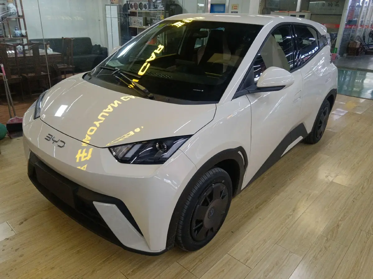 2025 BYD Seagull BEV 30.08KWH