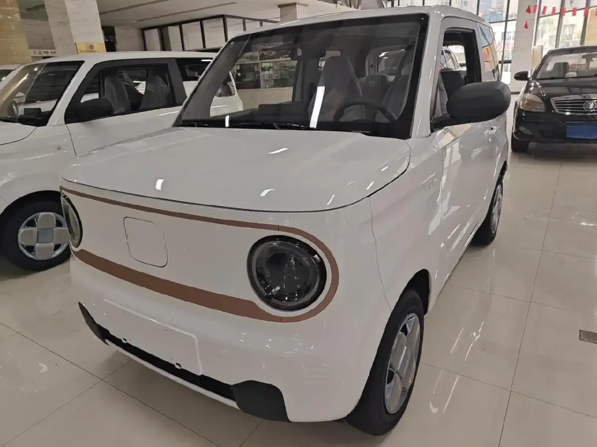 2024 Geely Panda BEV 17.03KWH