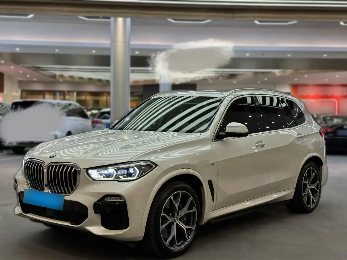 2019 BMW X5 3.0T 340HP L6 8AT