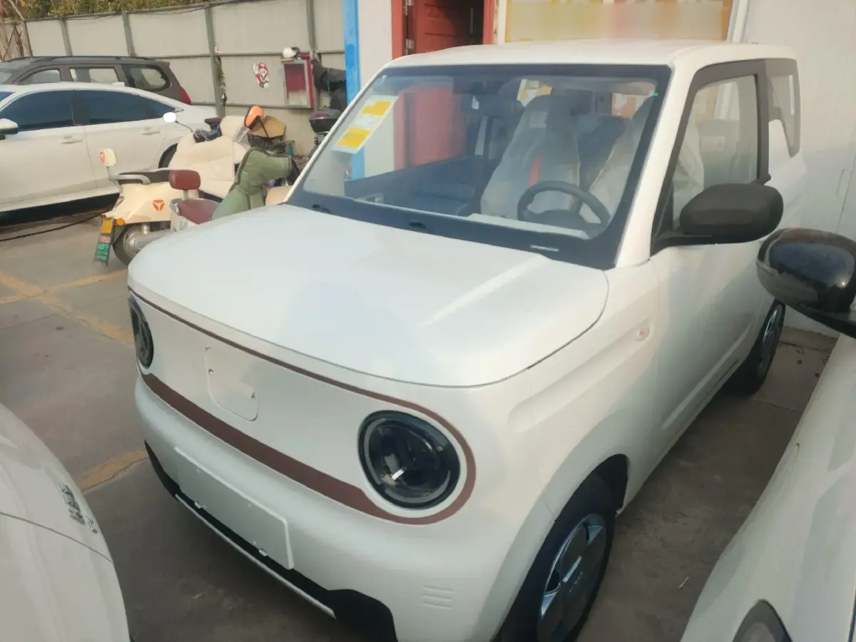 2024 Geely Panda BEV 17.03KWH