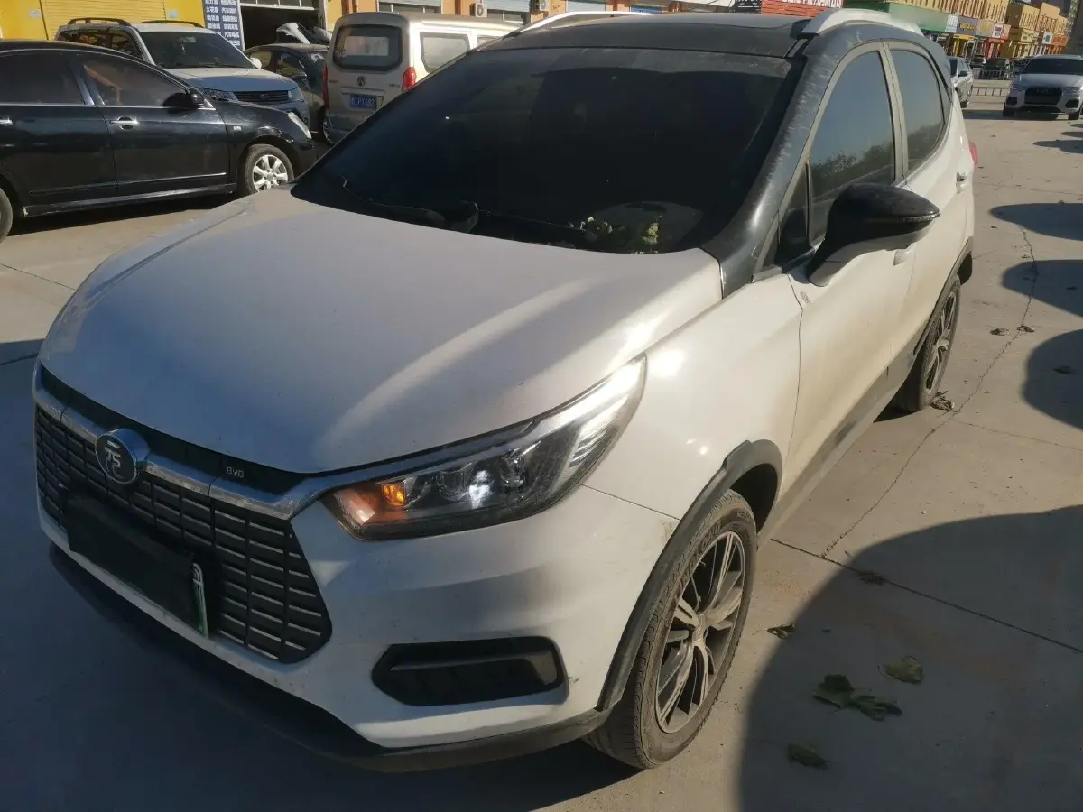 2019 BYD Yuan BEV 53.22KWH