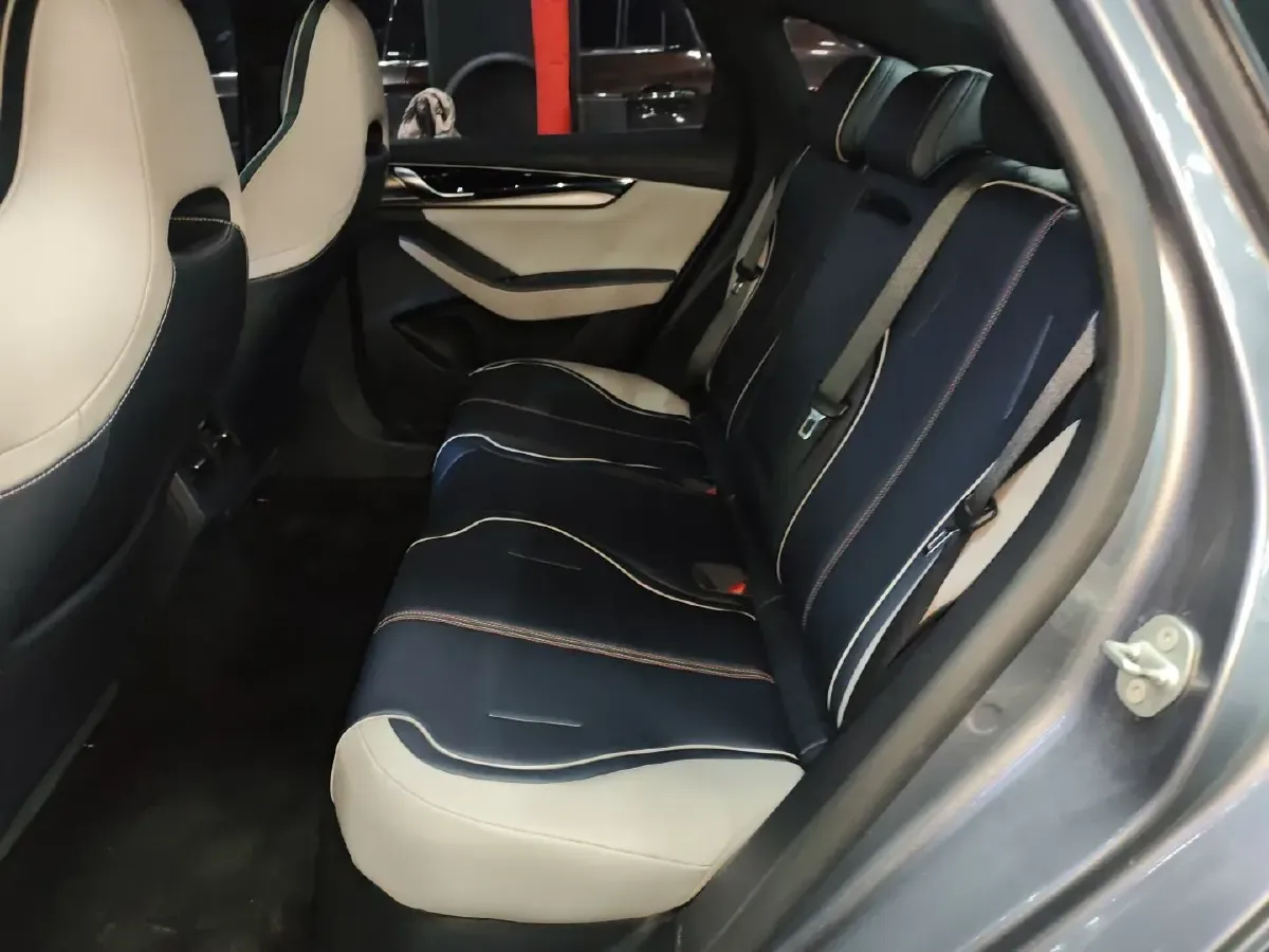 2021 BYD Qin Plus 1.5L 110HP L4 E-CVT PHEV 18.32KWH,autocango,china used car exporter,china ev exporter,chinese used car exporter,chinese used ev exporter