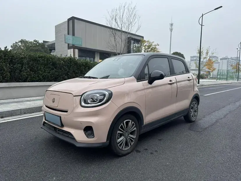 2021 Leapmotor T03 BEV 38KWH