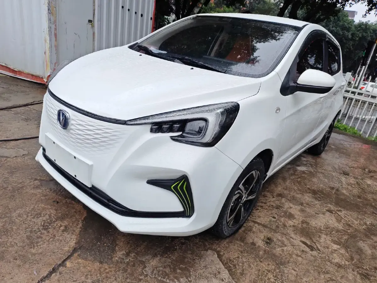 2020 ChangAn BenBen E-Star BEV 31.95KWH